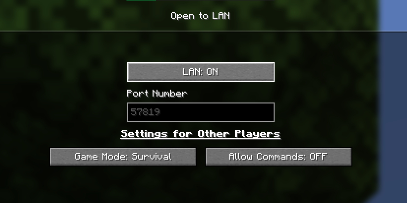 Minecraft LAN